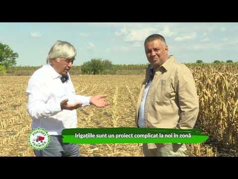 Portrait of a farmer Dimitrie Musca 14 09 2025