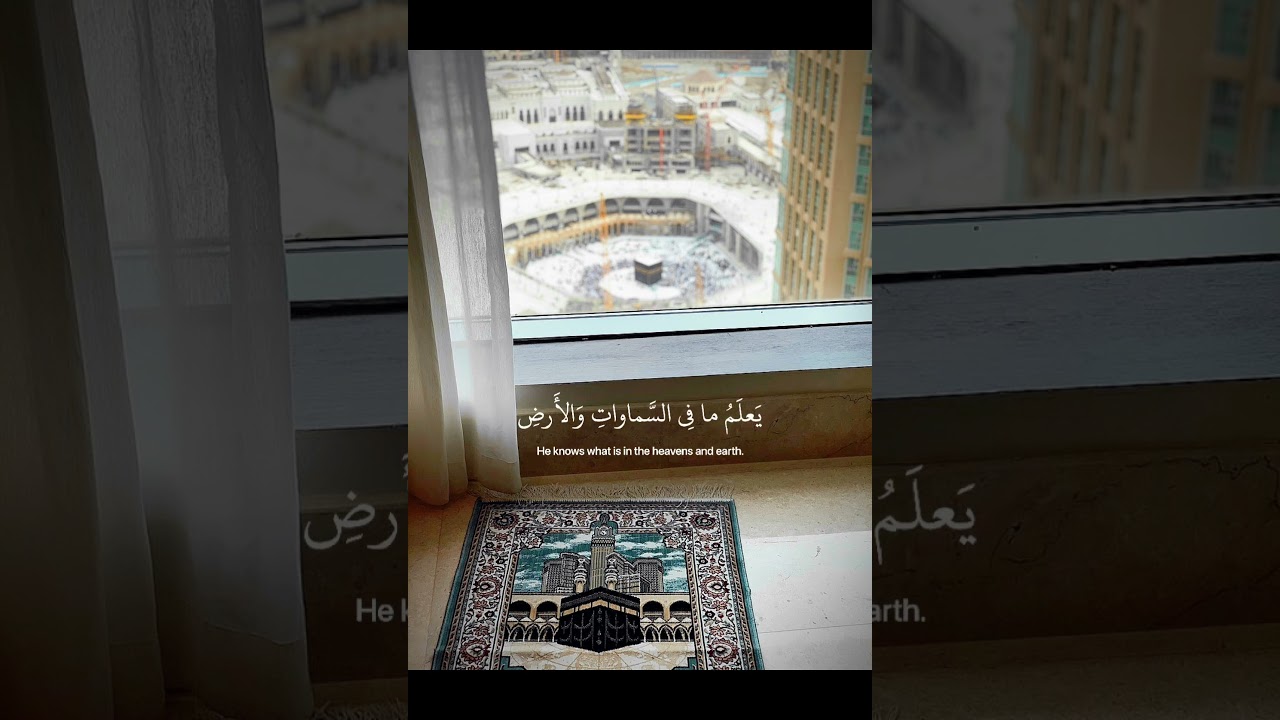 ق ل ك ف ى ب الل ه ب ي ن
