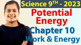Potential Energy - Chapter 10 - Work and Energy - Science Class 9