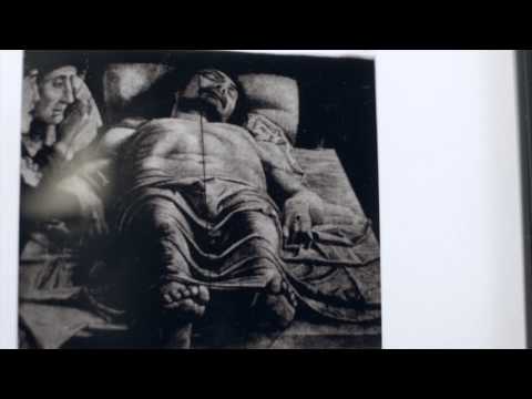 Craig Robins Collection 2014