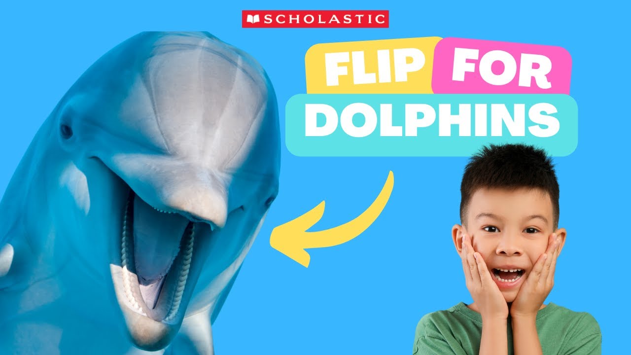 DOLPHIN 🐬 Facts for KIDS | DOLPHINS Ride Waves 🌊 for FUN