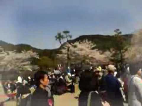 Donovan - The Lullaby Of Spring cover