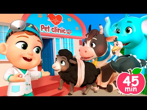 Boo Boo Animals | Animal Care Song + MORE Lalafun Nursery Rhymes & Kids Songs