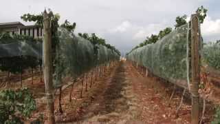 Kamnik - septembar 2015 (1 deo) Kamnik - septembar 2015 (1 deo)