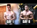 8 Day Fat Loss Transformation | Hardbody Shredding Ep 04