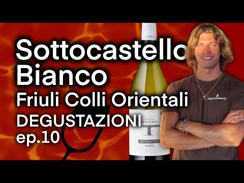 FRIULI COLLI ORIENTALI: Sottocastello Bianco Vigna Traverso. Degustazioni ep.10 🍾😍