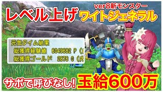 【ドラクエ10 最新Ver8】サポでレベル上げ！ワイトジェネラルが玉給600万!? おすすめ構成＆効率的なやり方紹介！