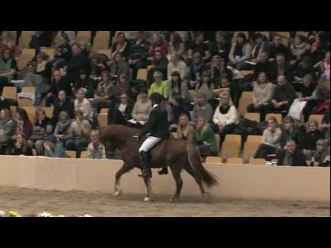 WorldToelt 2013 A-finale V.1 - firgangskonkurrence