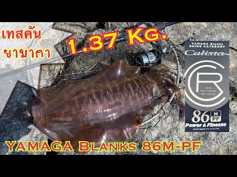 Lanseta Yamaga Calista 86M Power Finess 2.57m 28g Fast