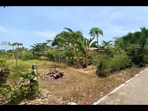 1.38 Rai of Flat Land for Sale in Mai Khao - Perfect for Building a Pool Villa