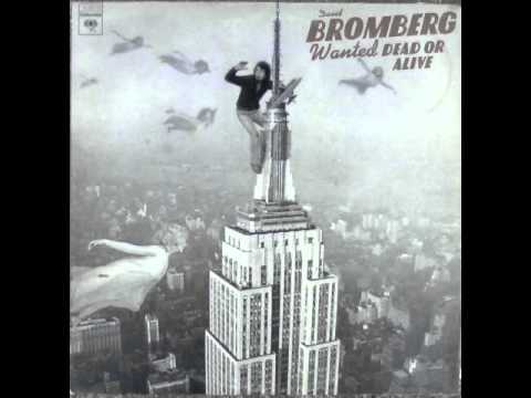 David Bromberg - The New Lee Highway Blues