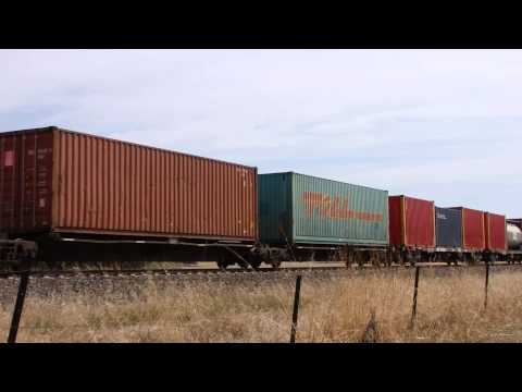 Junee trains NR106, NR58 & DL50