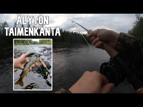 TAIMENEN PERHOKALASTUSTA LAPISSA