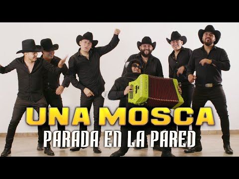 Una Mosca Parada En La Pared - Grupo Identidad (video oficial )