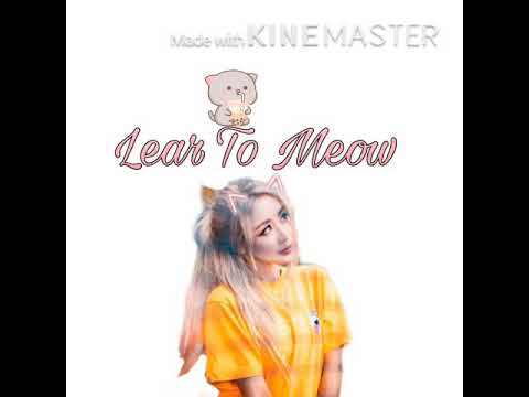 Learn To Meow-Wengie,XiaoPanPan,XiaoFengFeng