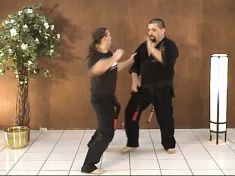 Frank Soto -  Kinetic Dragon Teachings