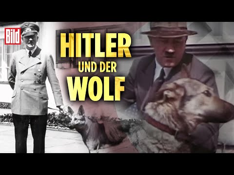 Hitlers Tierliebe: Rassenwahn und NS-Ideologie im Dritten Reich | BILD Doku
