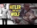 Hitlers Tierliebe Rassenwahn Und NS Ideologie Im Dritten Reich BILD Doku