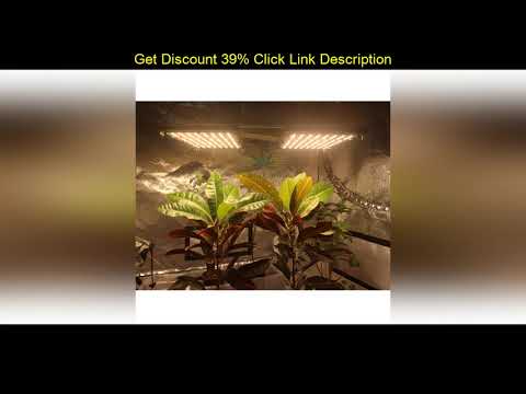 Best Dimmable Turn ON/OFF switch for Samsung LM301H UV IR 240W QB Tech LED Board grow light with Me