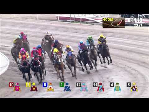 10/10/2021 (91) Silver Fig - Matthew Poon