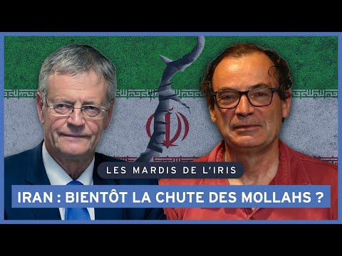 Pascal Boniface and IRIS