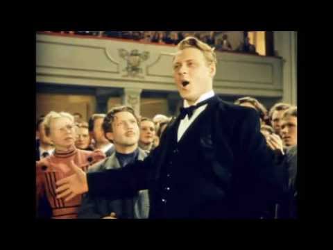 Ognivcev Aleksandr - Dark Eyes / Очи черные - Огнивцев Александр