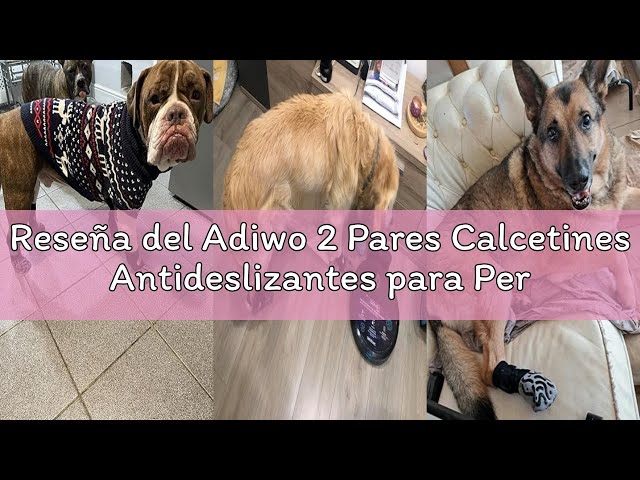 Vídeo relacionado con Adiwo 2 Pares Calcetines Antideslizantes para Perros, Calcetines para Perros con Velcro Ajustable, Protector de Patas para Perros Tienen Correas Reflectantes,Evitar Lamer Rayones en el Suelo(L)