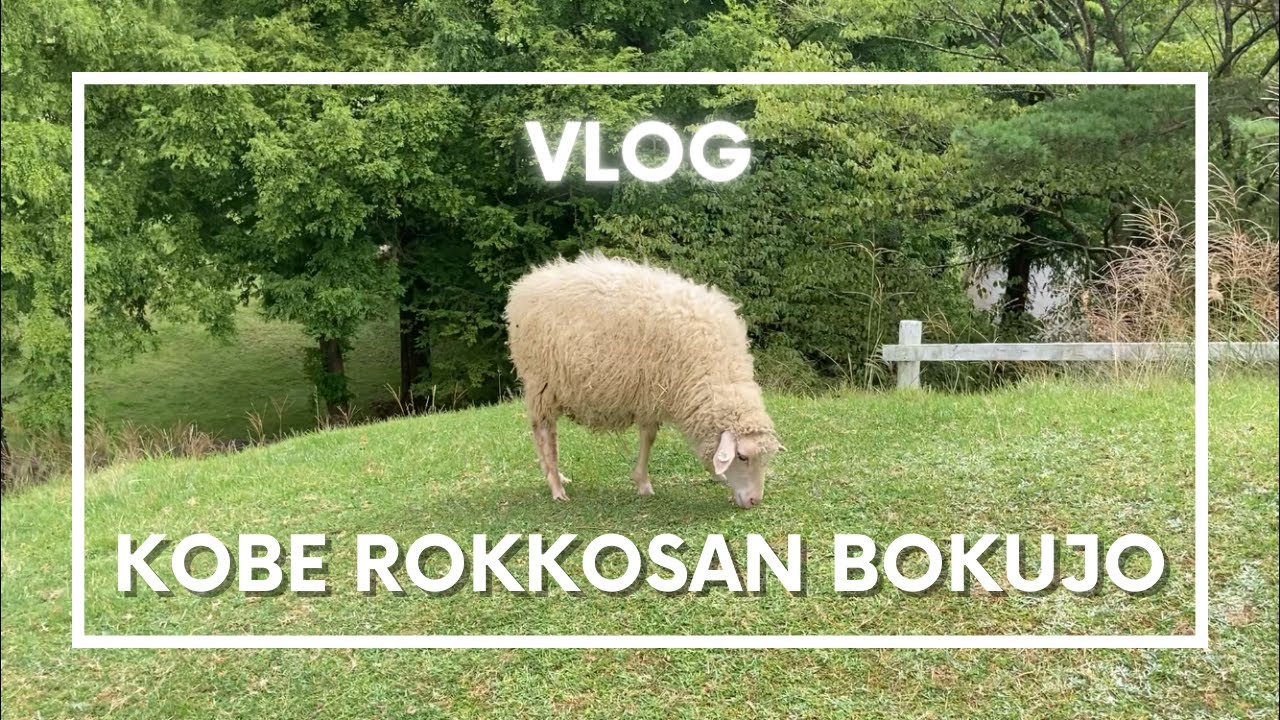Embark on an enchanting journey through Rokkosan Pasture.