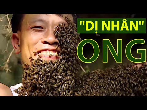 , title : 'VTC14 | "Dị nhân ong" ở Điện Biên'