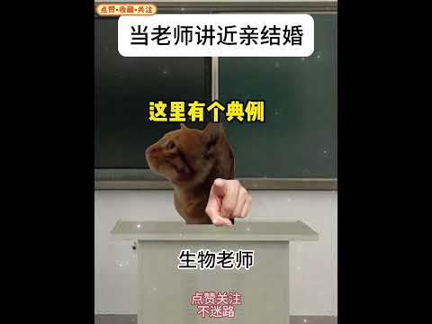 88 当生物老师讲近亲结婚小剧场 #猫meme小剧场 #FunnyAnimals #InternetHumor #ViralMeme