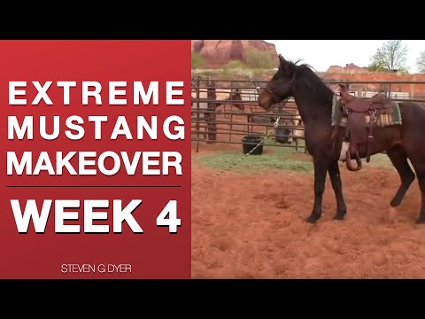 Wild Mustang Challenge Week 4 Extreme Mustang Makeover 2017 (Pt. 3 of 14) — Horse Training