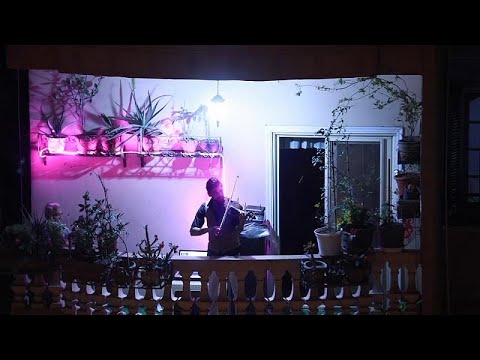 Kairó: hegedűs az erkélyen