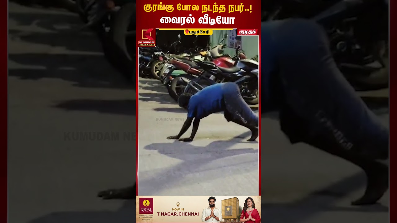 குரங்கு போல நடந்த நபர்..! வைரல் வீடியோ | Puducherry Weird Man | Kumudam News | #shorts
