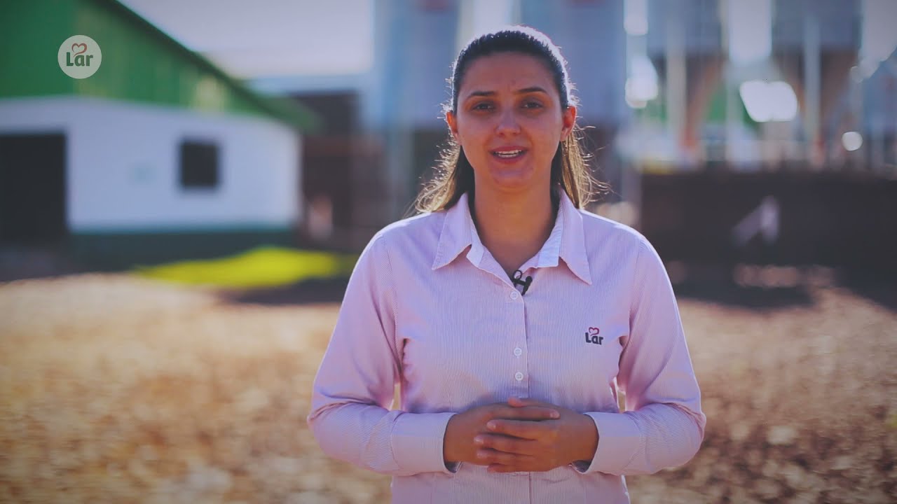 Boas Práticas Avicultura (Pré-abate)