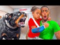 LONDYN GOT ATTACKED BY A DOG