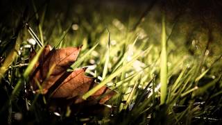 Azedia - Remain as you are