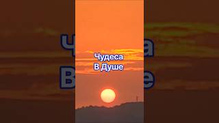«Чудеса в Душе»