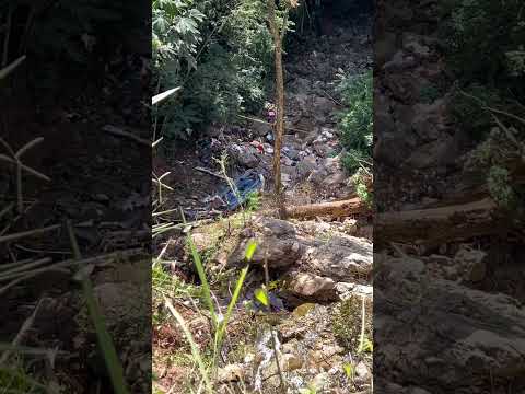 17 Estudiantes perdieron la vida en accidente entre Zaragoza y Remedios Antioquia