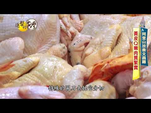 【進擊的台灣】阿里山放養綠野農莊文昌雞 黃皮Q嫩肉質緊實