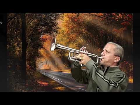 BRILHA MAIS E MAIS - HINO 447