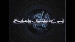 The Original Vampire Killa - Skindred