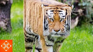 10 Major Problems Minecraft Would Have In Real Life