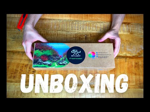 Unboxing lampy Skylight Intense