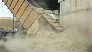 פיילוט כותנה לביוצ'אר - הרשת לשיקום האקלים