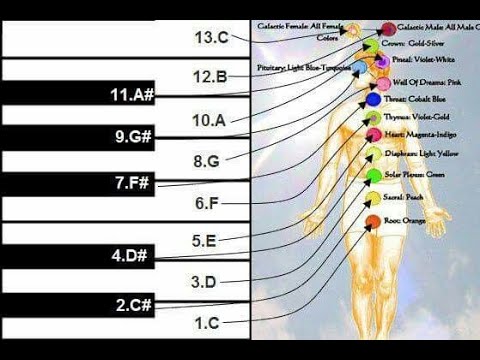 Vibrionics Through Musical Sequences