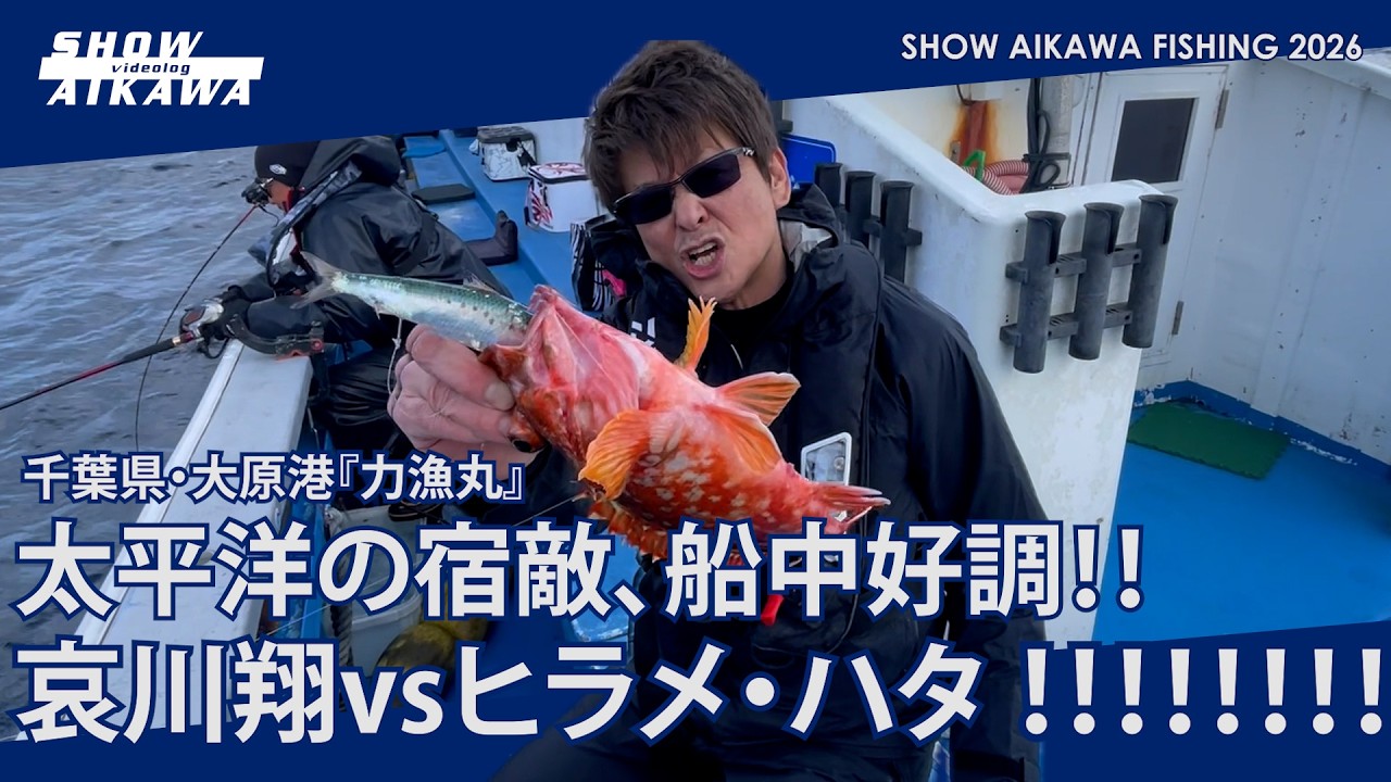 太平洋の宿敵、船中好調 ‼︎哀川翔vsヒラメ・ハタ ‼︎‼︎‼︎ 【千葉県・大原港『力漁丸』】