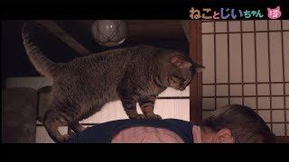 猫・タマ、立川志の輔の背中で…　映画「ねことじいちゃん」特別映像が公開