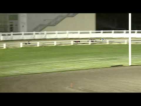 2021.10.22. 06. futam - Lyreen Mover Díj Open