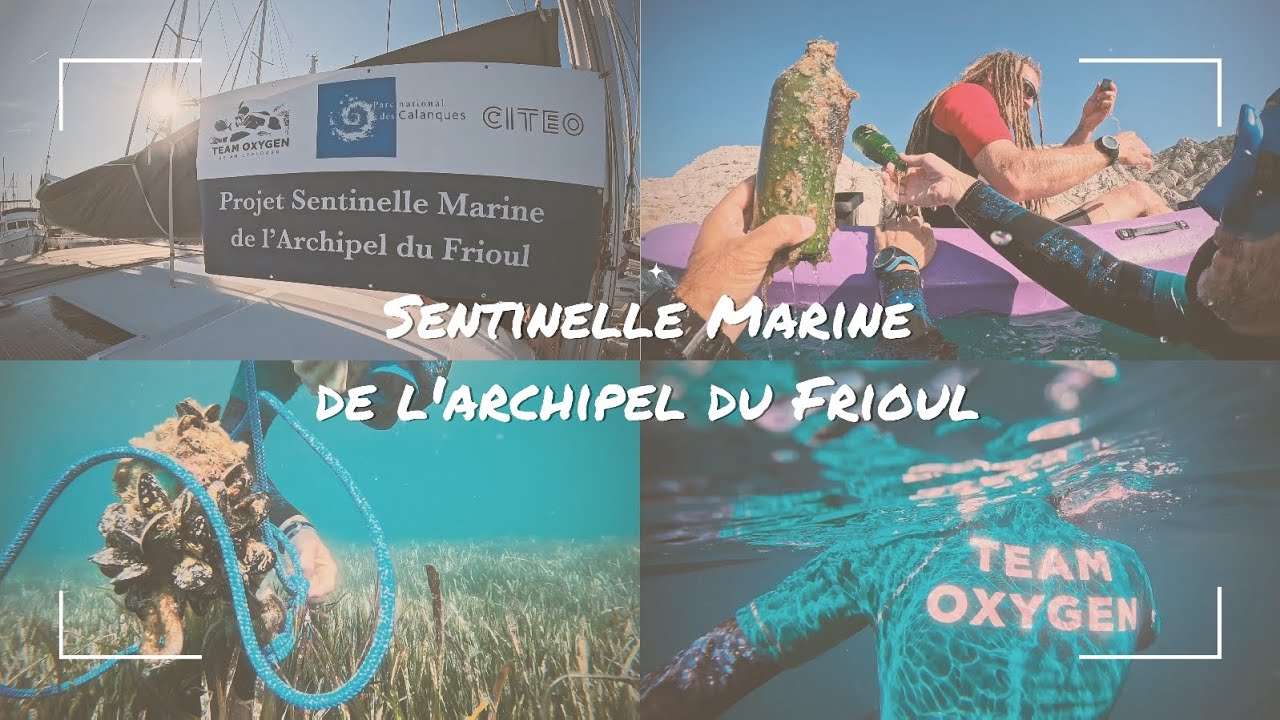 Projet Sentinelle Frioul