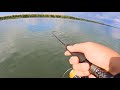 S802H Jig 10-65 грамм